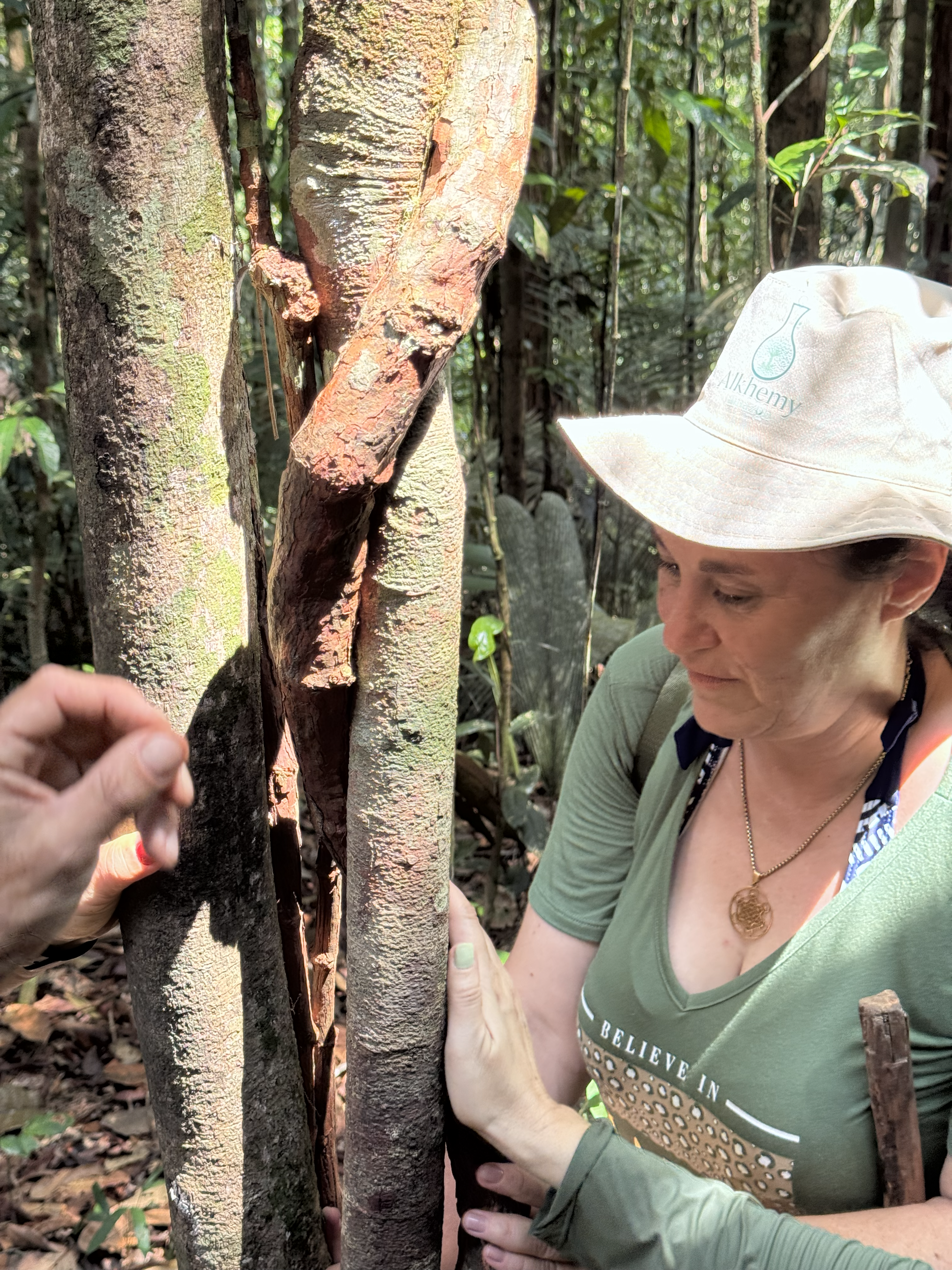 Chapéu Alkhemy Amazon